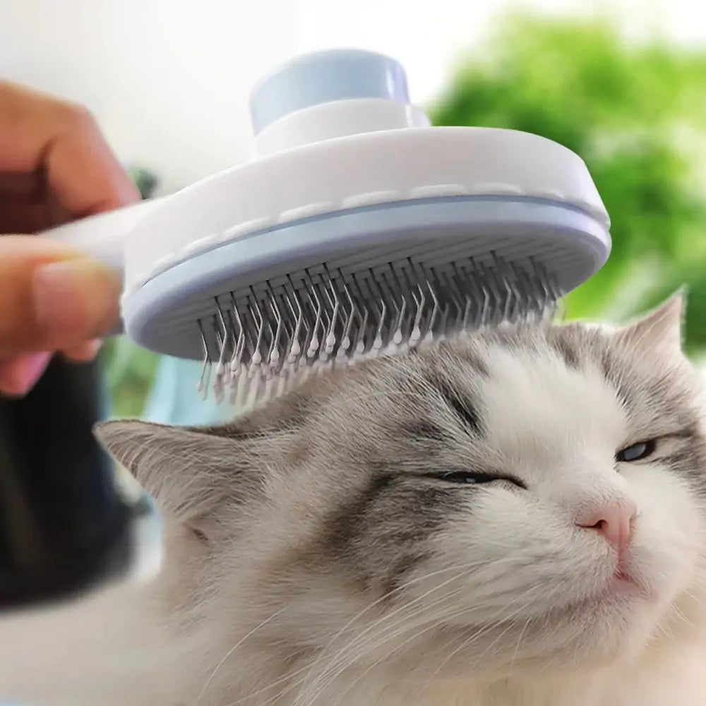 Pet Brush .